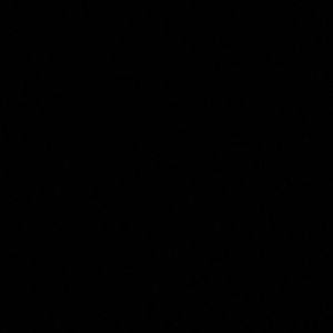 Meet your Posher, Karmen